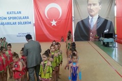 Türkiye Ritmik Cimnastik Gruplar Federasyon Kupası Sonuçları