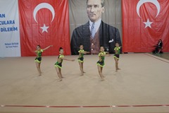 Cimnastikçilerimiz Yarışmalara Devam Ediyor